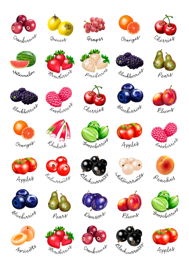 Fruit stickers A4 sheet of 35 circular stickers with Etsy