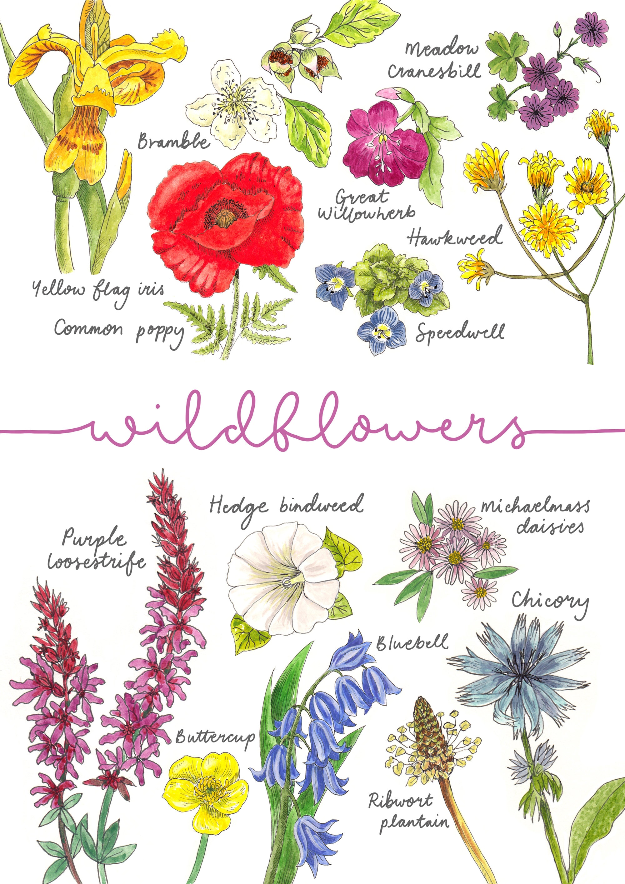 Wildflowers A4 print for framing | Etsy