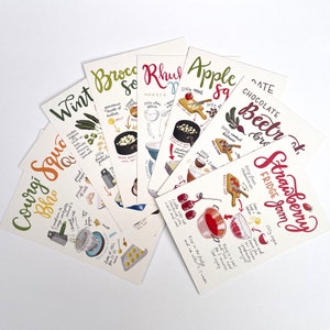 Illustrated recipe postcards, pack of 8, A6 size