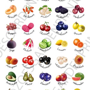 Fruit & Vegetable stickers, A4 sheet of 35 circular stickers with original illustrations image 5