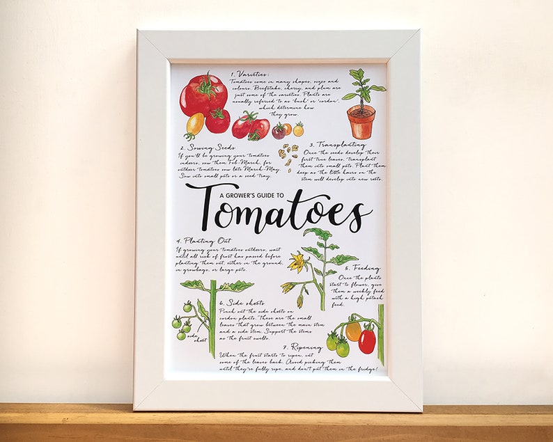 A Grower/'s Guide to .. A4 print for framing