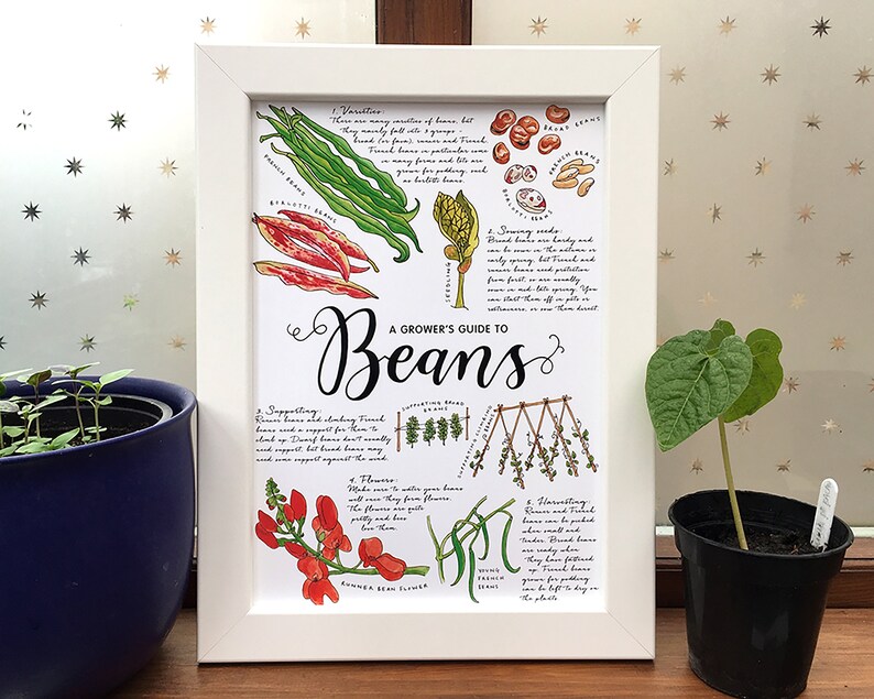 A Grower/'s Guide to .. A4 print for framing