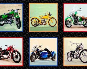Exclusively Quilters OPEN ROAD 100% Cotton Fabric Panel (#134)