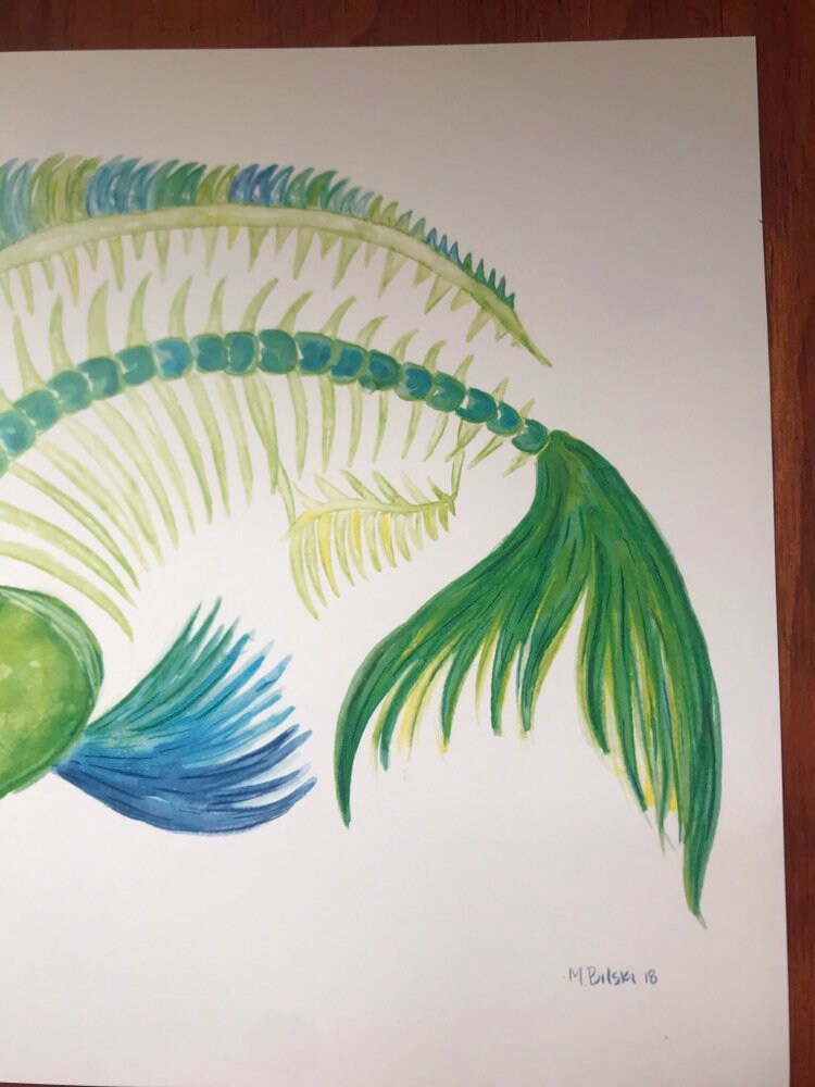 Mahi Skeleton Watercolor Print 5x7 | Etsy
