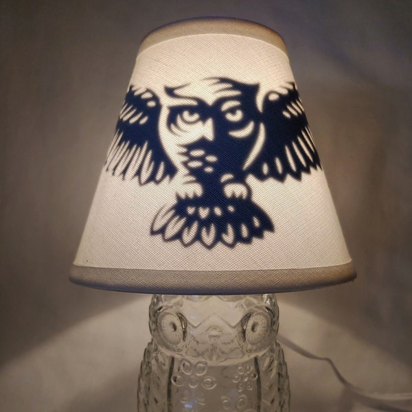 READY TO SHIP Owl mason jar small lamp