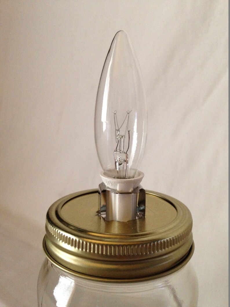 Mason jar small lamp, nightlight Monkey influenced image 6