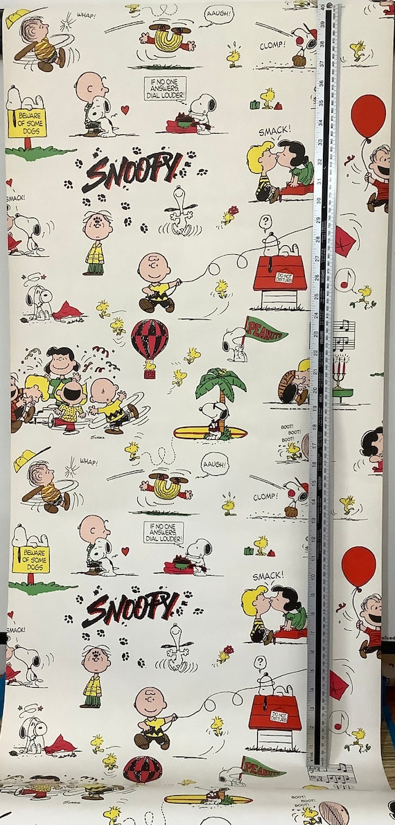 アメリカ 壁飾り スヌーピー 立体アート Amazon.co.jp: スヌーピーの絵画 Snoopy 部屋飾り キャンバス