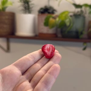 Handmade Strawberry Slice Magnet –Air Dry Clay Fruit Magnet, Cute Fridge Decor, Painted Clay Magnet, Summer Kitchen Magnet, Fruit Lover Gift