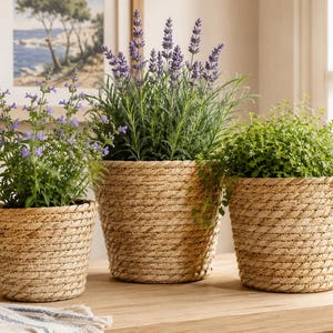 Handgeflochtener Pflanzkorb aus Naturstroh | Boho-Rattan-Übertopf, Landhausdeko