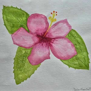 ART PRINT- Hawaiian Hibiscus