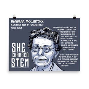 SHE CHANGED STEM poster. Barbara McClintock. Scientist and Cytogeneticist Funding Campaign image 2