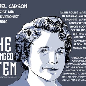 SHE CHANGED STEM Poster SeriesDownloadable Digital Files Funding Campaign image 6