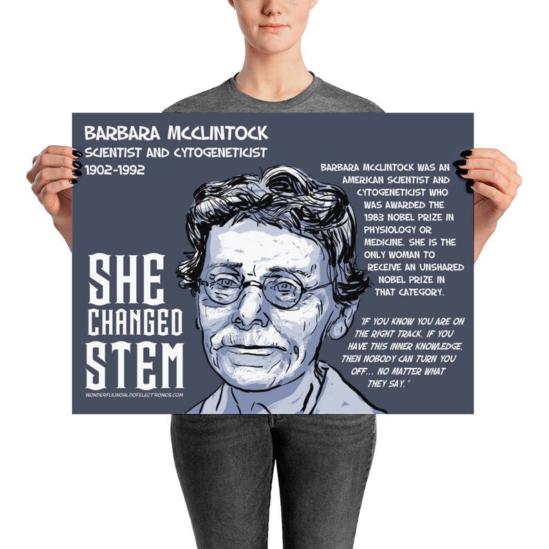 SHE CHANGED STEM poster. Barbara McClintock. Scientist and Cytogeneticist Funding Campaign image 1