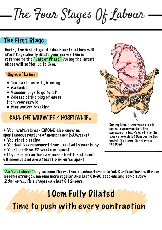 The Four Stages Of Labour Part Etsy Australia