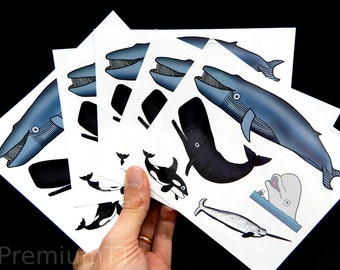 Premium Huge Whale Tattoos: Blue, Sperm, Killer, Narwhal & Beluga