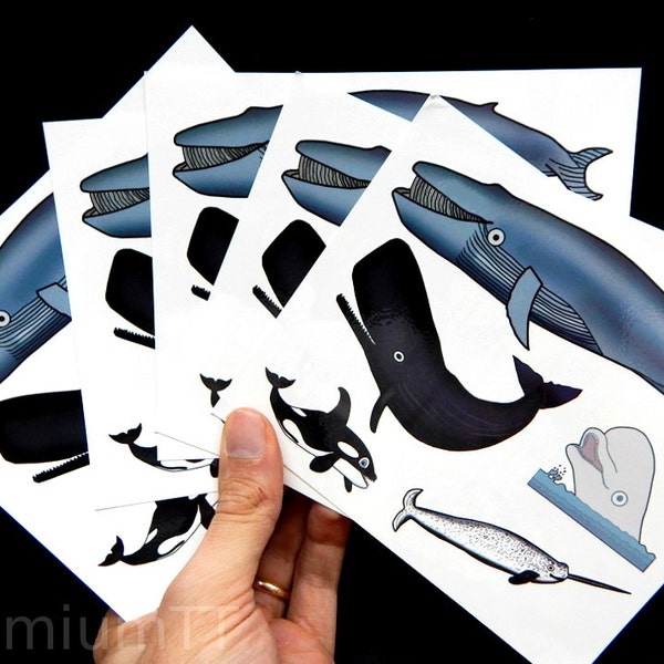 Premium Huge Whale Tattoos: Blue, Sperm, Killer, Narwhal & Beluga