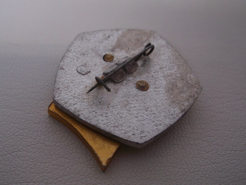 May include: The back of a silver and gold pin with a pin back and a small loop. The pin is shaped like a shield with a rounded top.