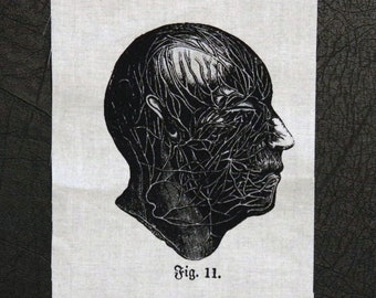 May include: Black and white illustration of a human head with a detailed network of lines representing the veins and arteries of the face. The image is labeled "Fig. 11."
