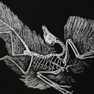 ARCHAEOPTERYX Screenprint Back Patch