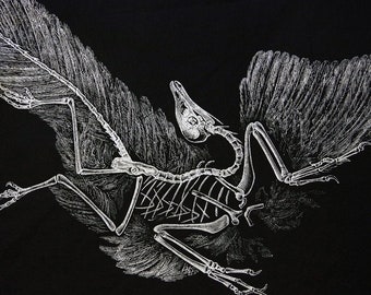 始祖鳥の化石レプリカ - Etsy 日本