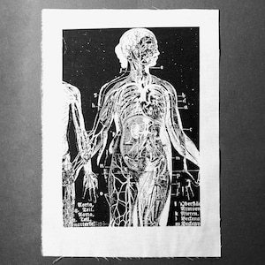May include: A black and white anatomical illustration of the human body, showing the circulatory system and internal organs. The image includes labels in German, including "Morta, Oberfläc, . Zeil. Horto, Nieren, Zell, 1 Beckena, natterie, m Bedenv."