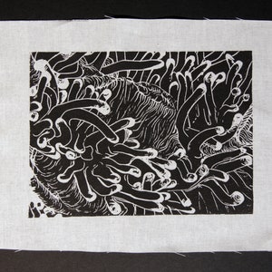 Può includere: Stampa in bianco e nero di un primo piano di un'anemone di mare con tentacoli.