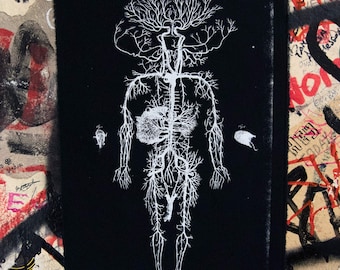 Circulatie Anatomische Illustratie Rugpatch Zeefdruk Rugpatch