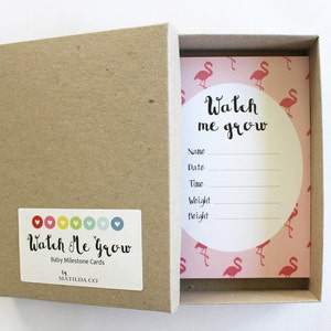 Étapes de bébé étape cartes cadeau Boxed - flamants roses-bébé filles, cadeau de shower de bébé, accessoires photo de bébé étape, première année de bébé, cadeau de bébé
