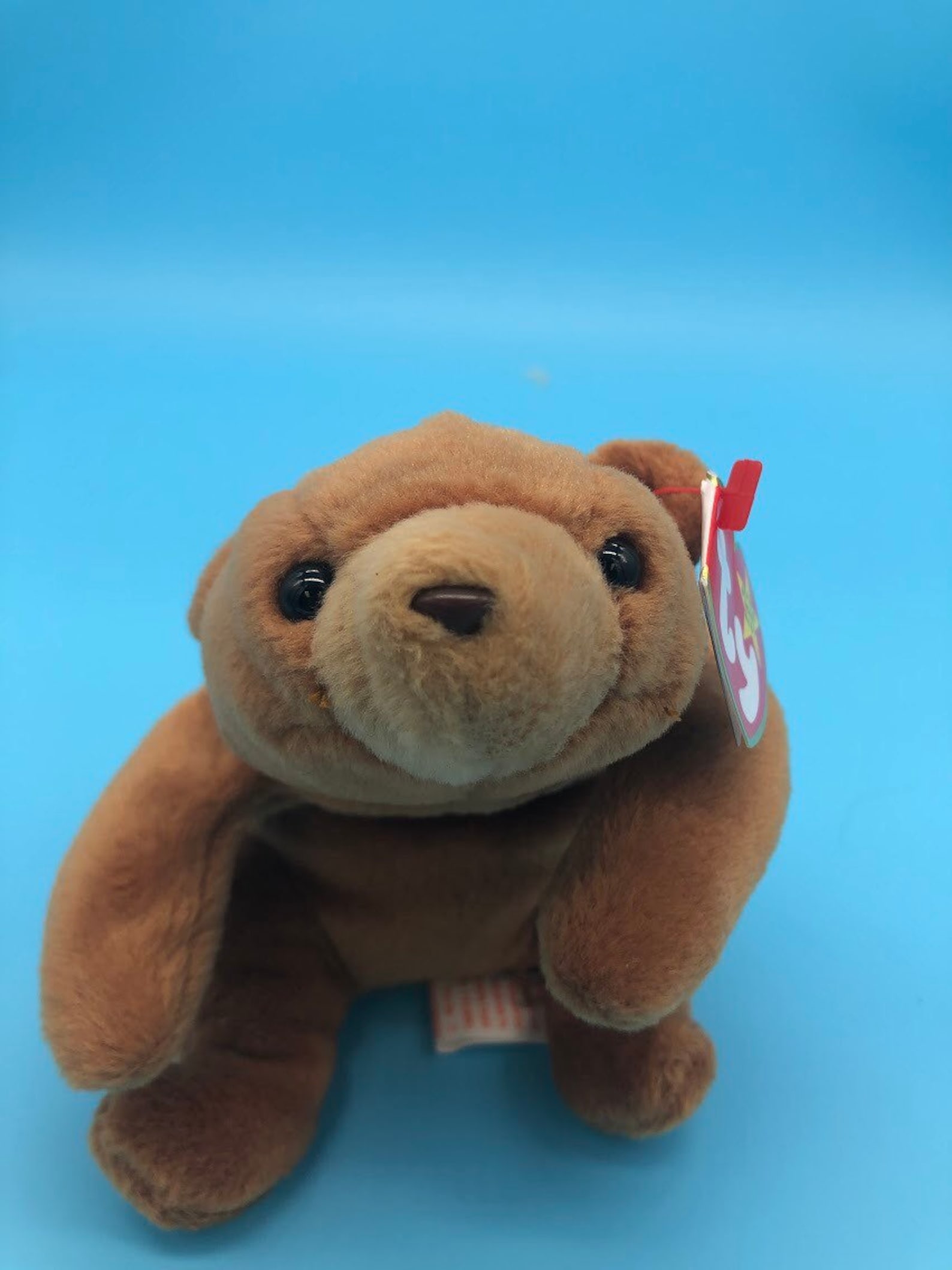 Beanie babies with pvc pellets Clearance