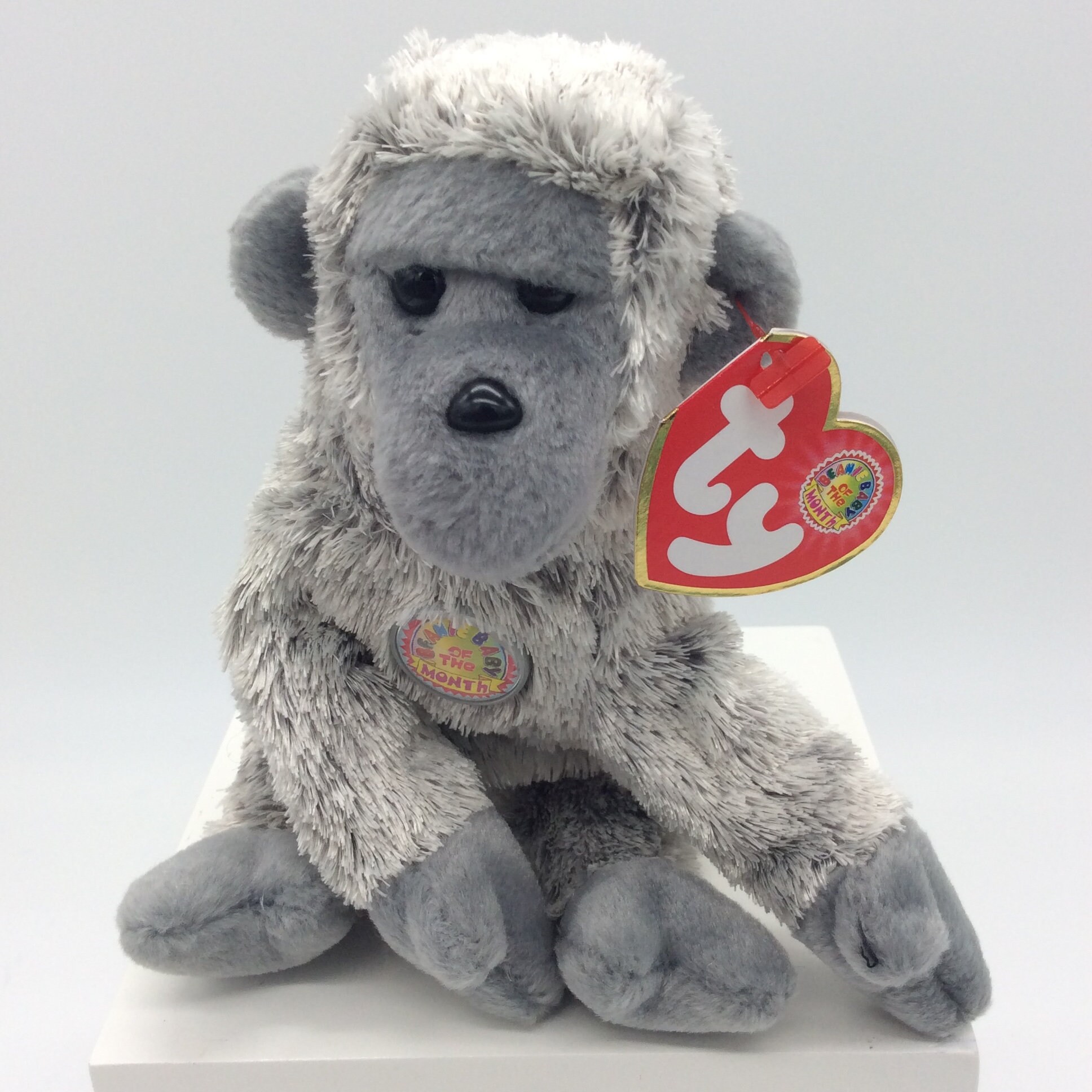 PRISTINE CLEAN Brand New Ty Teenie Beanie Baby Inch Worm still in bubble pack PRISTINE CLEAN Brand New Ty Teenie Beanie Baby Inch Worm still in bubble pack