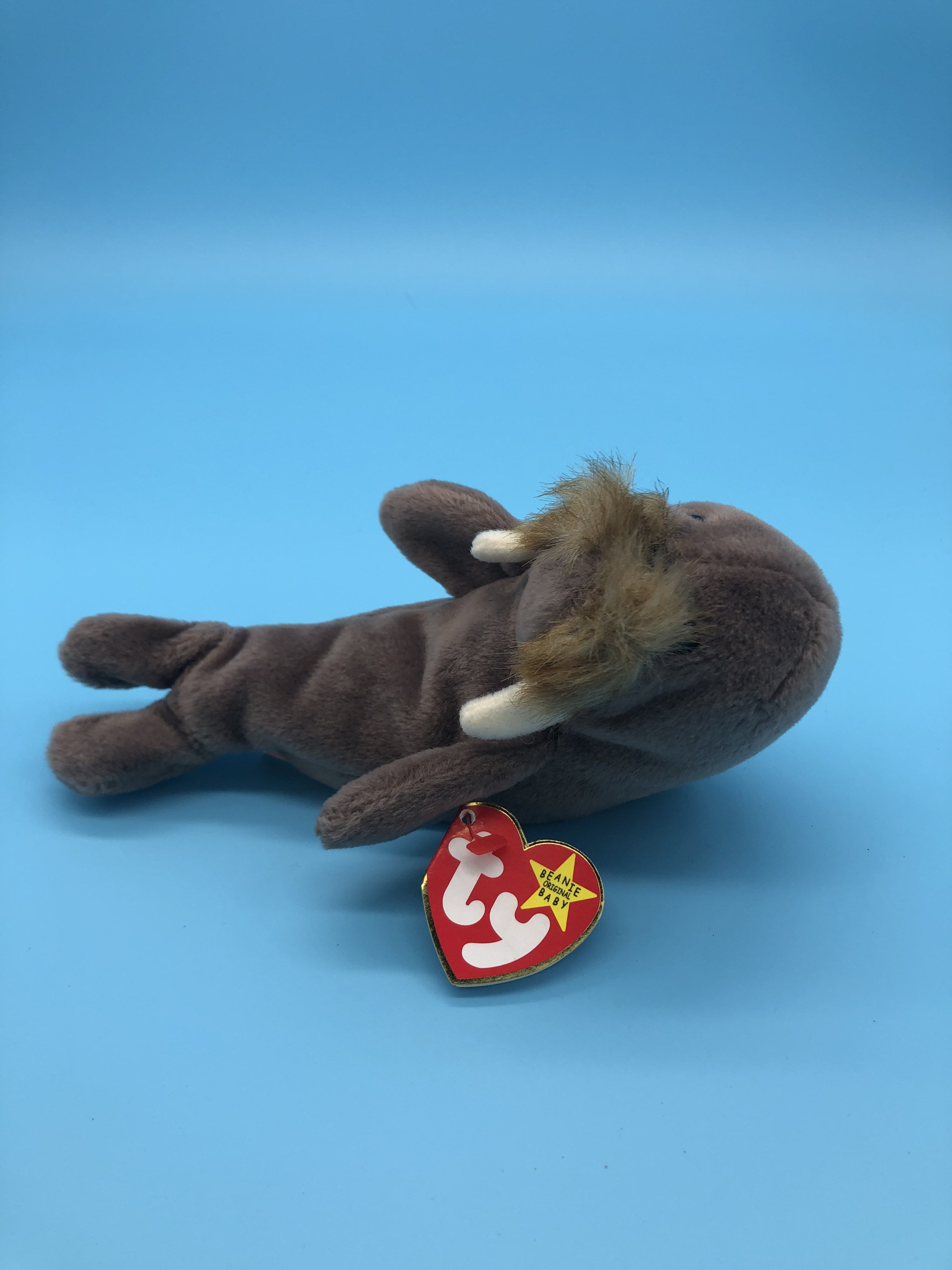 Jolly the Walrus Ty Beanie Babies Etsy