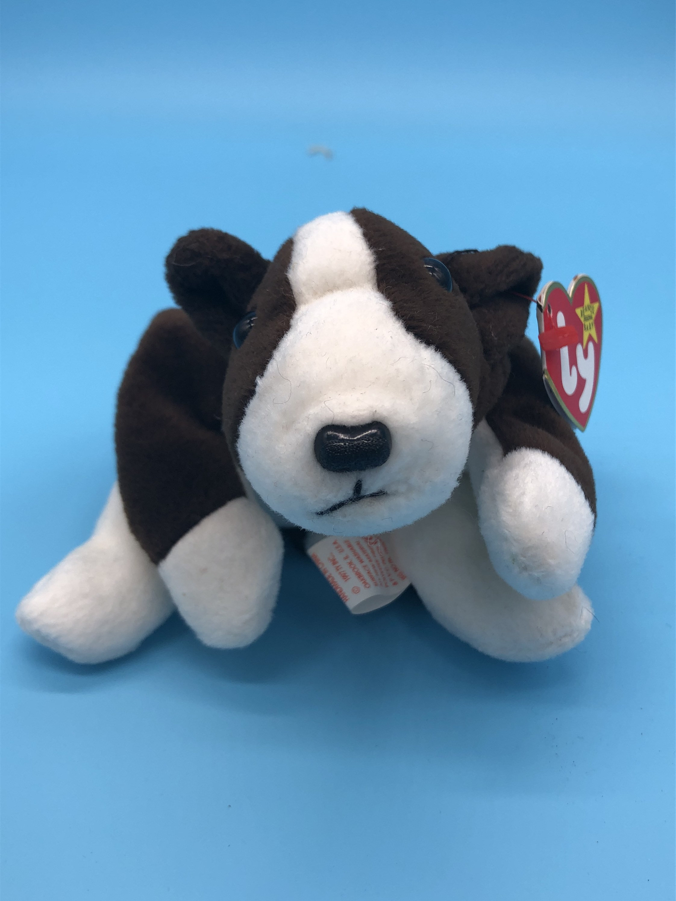 Bruno Dog Ty Beanie Babies Etsy