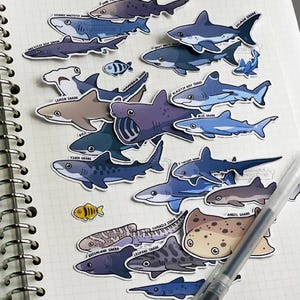 Shark Species Stickers for Shark Lovers | Handmade | Shark Sticker Waterproof Scratch Resistant Durable Vinyl Stickers Cute Sea Creature Set image 1