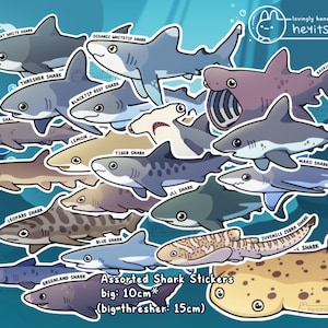Shark Species Stickers for Shark Lovers | Handmade | Shark Sticker Waterproof Scratch Resistant Durable Vinyl Stickers Cute Sea Creature Set image 3