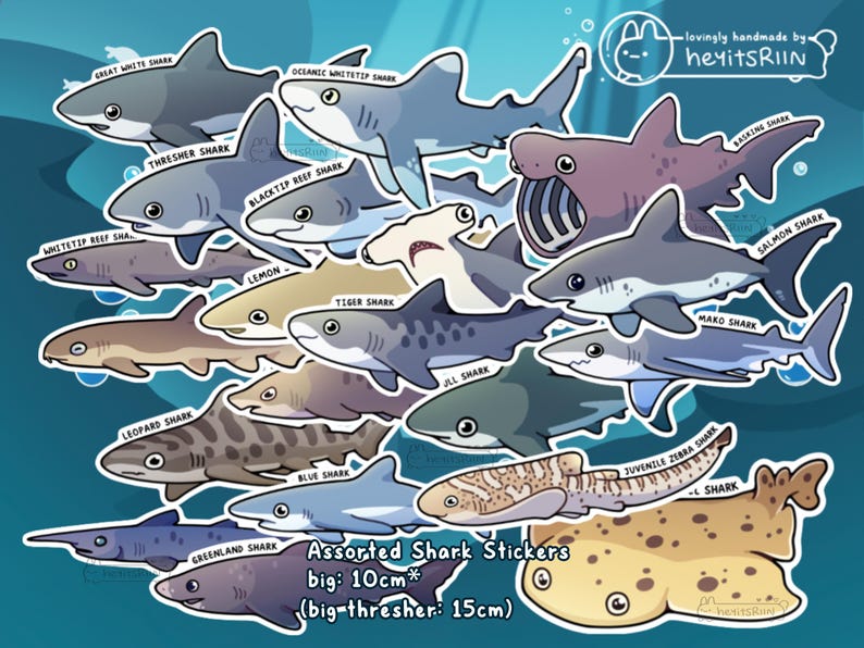 Shark Species Stickers for Shark Lovers | Handmade | Shark Sticker Waterproof Scratch Resistant Durable Vinyl Stickers Cute Sea Creature Set image 3