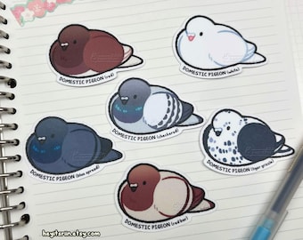 Cute Pigeon & Dove Stickers | Waterproof Matte Vinyl | Bird Species | Educational Ornithology Gift | Handmade Planner Laptop Decal