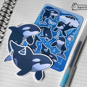 Orca Sticker Sheet & Vinyl Sticker Set | Killer Whale Stickers | Ocean Animal Decals | Waterproof Whale Stickers | Marine Life Art