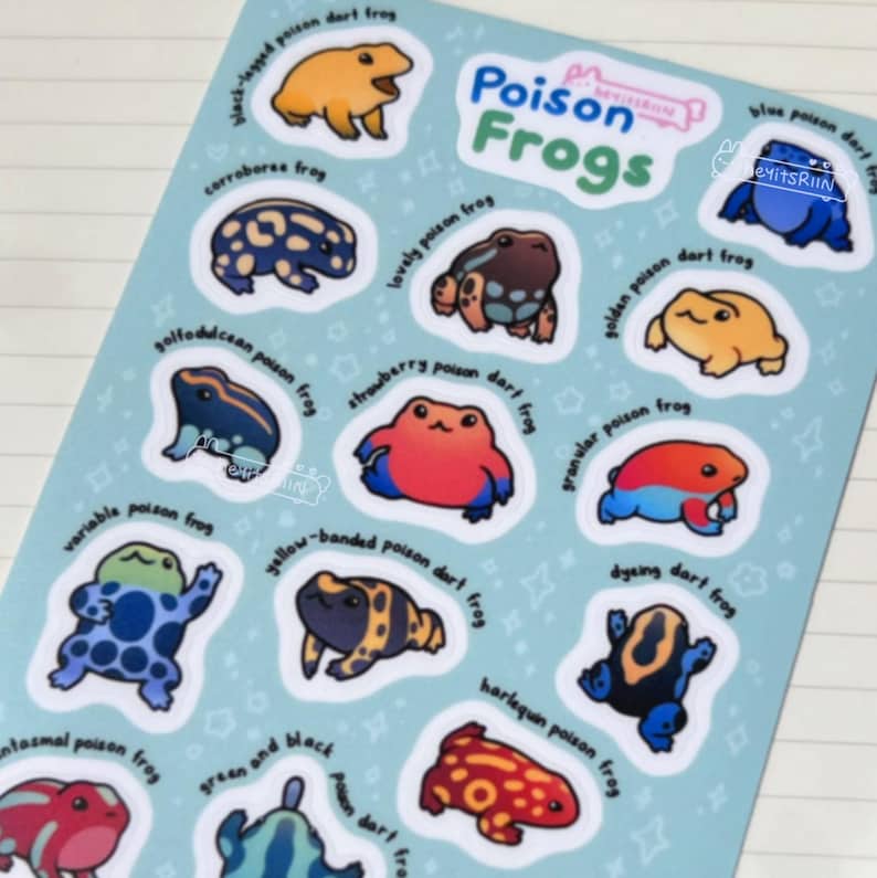 Poison Frogs matte sticker sheet. Contains the following frogs: black-legged poison dart frog, blue poison dart frog, corroboree frog, lovely poison frog, golden poison dart frog, Golfodulcean poison frog, strawberry poison dart frog, granular poison frog, variable poison frog, yellow-banded poison dart frog, harlequin poison frog, dyeing dart frog, phantasmal poison frog, green and black poison dart frog, red-backed poison frog.