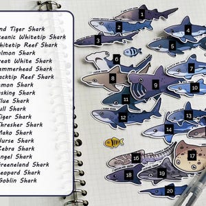 Shark Species Stickers for Shark Lovers | Handmade | Shark Sticker Waterproof Scratch Resistant Durable Vinyl Stickers Cute Sea Creature Set image 2