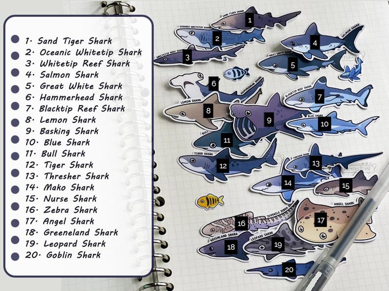 Shark Species Stickers for Shark Lovers | Handmade | Shark Sticker Waterproof Scratch Resistant Durable Vinyl Stickers Cute Sea Creature Set image 2