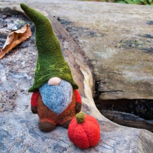 Needle felted woodland gnome, Felt gnomes, waldorf gnome, wool gnome, autumn, Orange, green, pumpkin, needle felted christmas decoration image 7