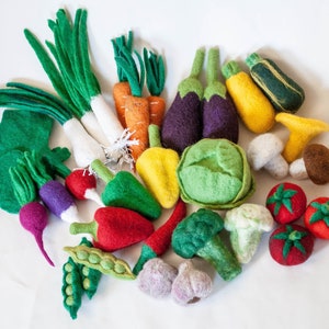 Needle felted vegetables - 11 , autumn felt decoration, Waldorf , onion carrot eggplant, zucchini mushroom tomato, cabbage garlic peas,