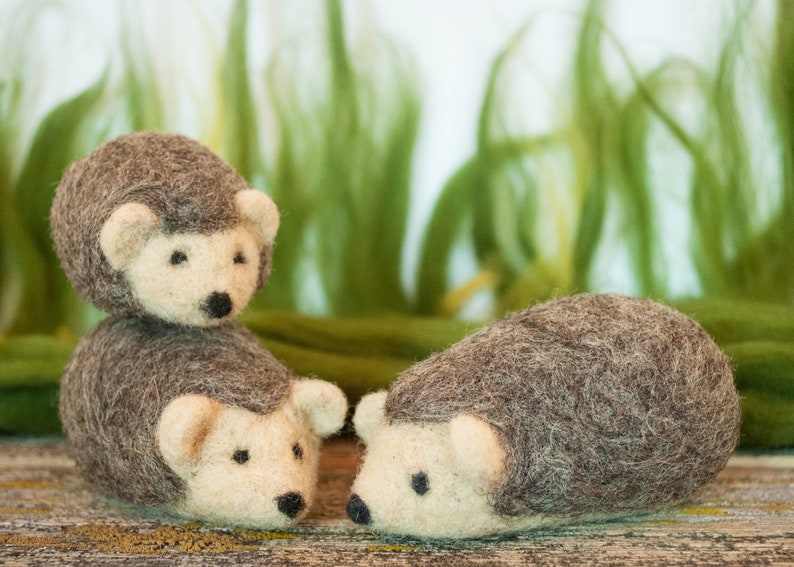Needle felted animal felted hedgehog wool hedgehog felt Etsy