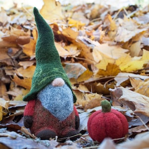 Needle felted woodland gnome, Felt gnomes, waldorf gnome, wool gnome, autumn, Orange, green, pumpkin, needle felted christmas decoration image 3