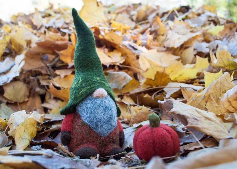 Needle felted woodland gnome, Felt gnomes, waldorf gnome, wool gnome, autumn, Orange, green, pumpkin, needle felted christmas decoration image 3