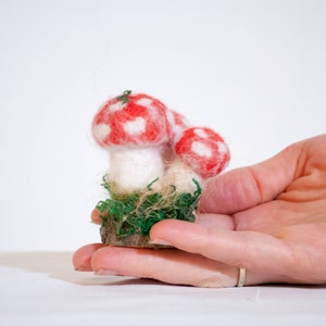 May include: A hand holds a small felt mushroom sculpture. The mushroom is red with white spots and has a white stem. It is sitting on a small bed of green felt.