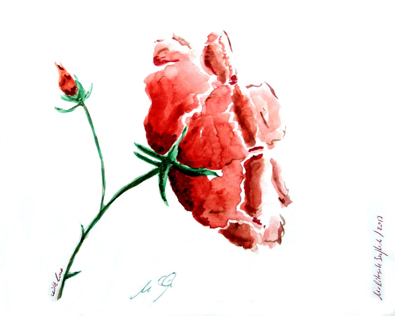 Helen/'s rose special watercolor print painted by artist Melixah colored original photo paper
