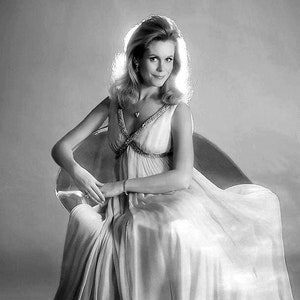 Actress Elizabeth Montgomery - 5X7 or 8X10 Publicity Photo (XDD-030)