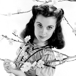 Vivien Leigh in the Film Epic &quot;Gone With The Wind&quot; - 5X7, 8X10 or 11X14 Photo (AB-310)