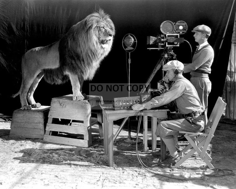 Metro Goldwyn Mayer MGM Filming leo the Lion for Official Film Movie
